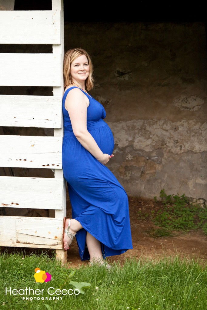 Maternity photographer valley forge pennsylvania (2)