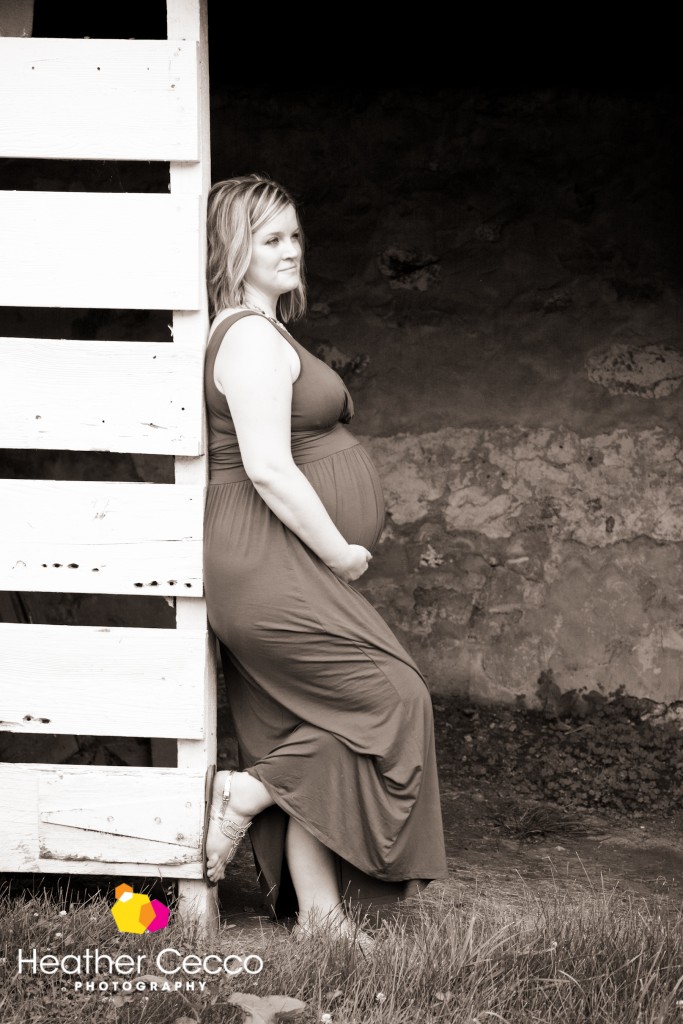 Maternity photographer valley forge pennsylvania (3)