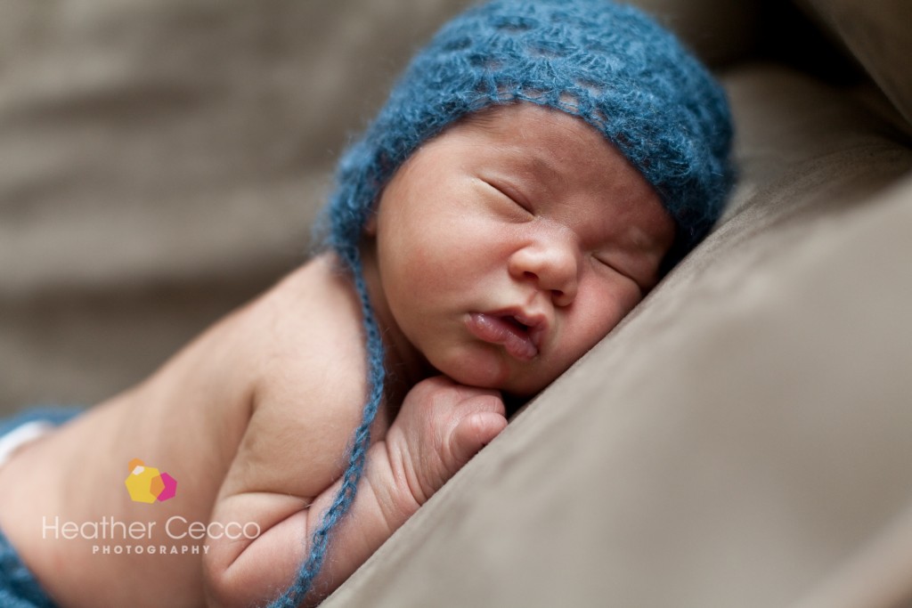 Newborn Family Photographer Malvern-016